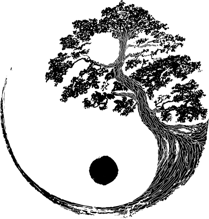 yin yang-min